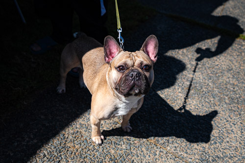 Salem, MA - Sep 2025